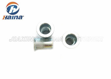 плоская головка M10 углерода стальная голубая покрытая цинком Knurled гайка односторонних клепок